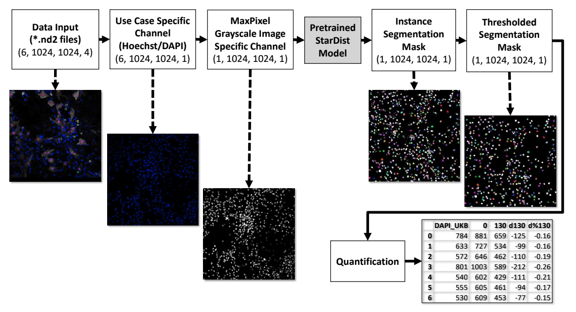 Publication thumbnail